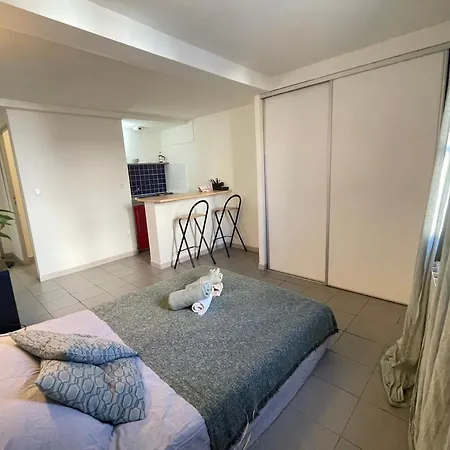 Studio Au Coeur De Apartment *