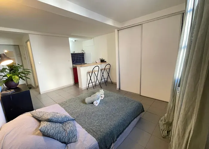 Au Coeur De Apartment *